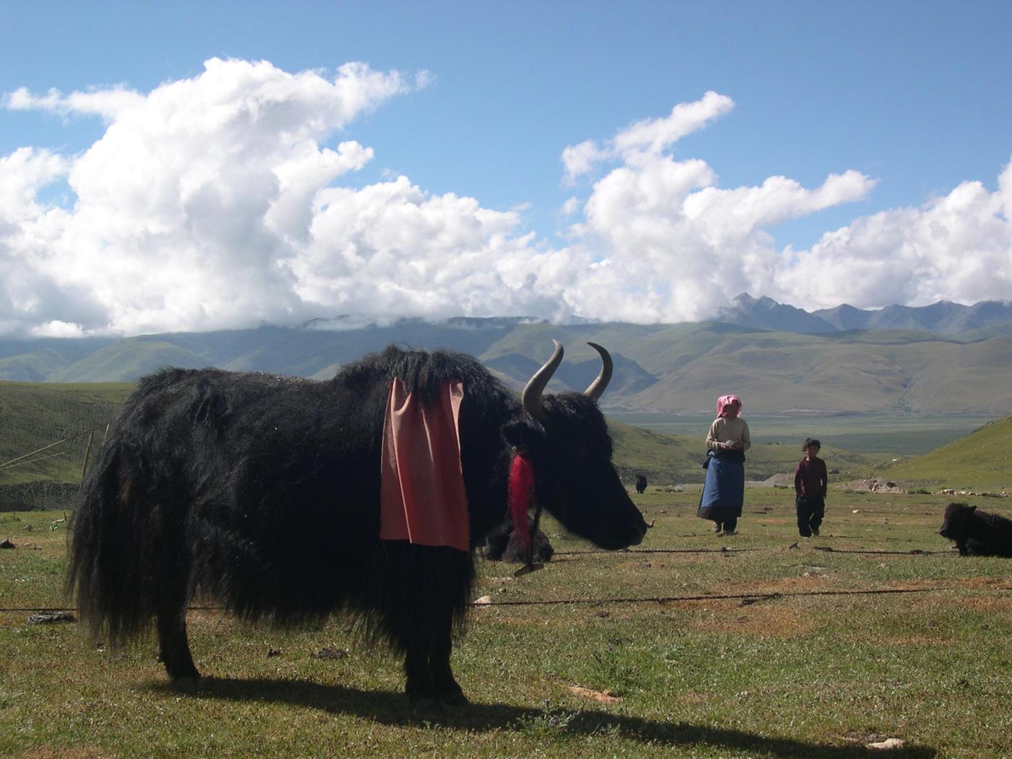 B&B Piccolo Tibet Lavenone Екстериор снимка